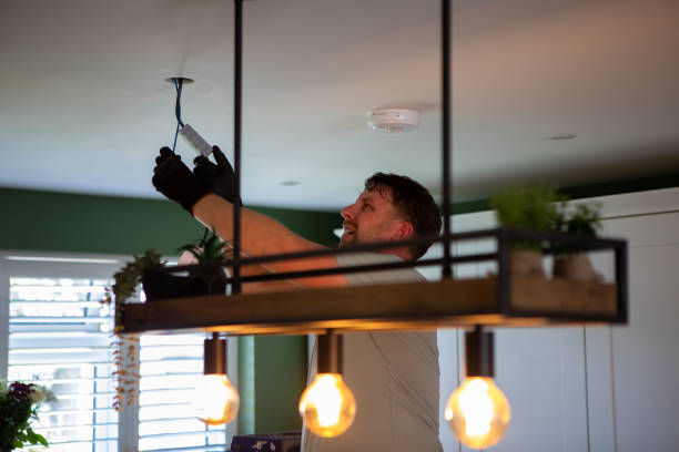 Best Electric Panel Repair  in Lacon, IL